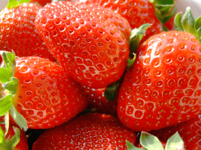 emf protection from raw foods
