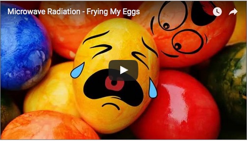 microwave radiation frying my eggs video still