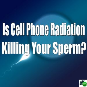 cell phone radiation damages sperm