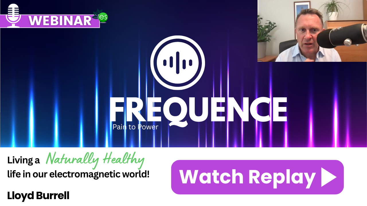 Frequence - Pain to Power