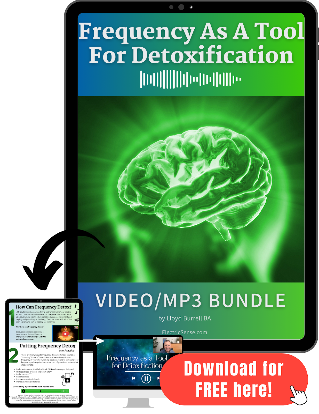 Frequency As A Tool For Detoxification