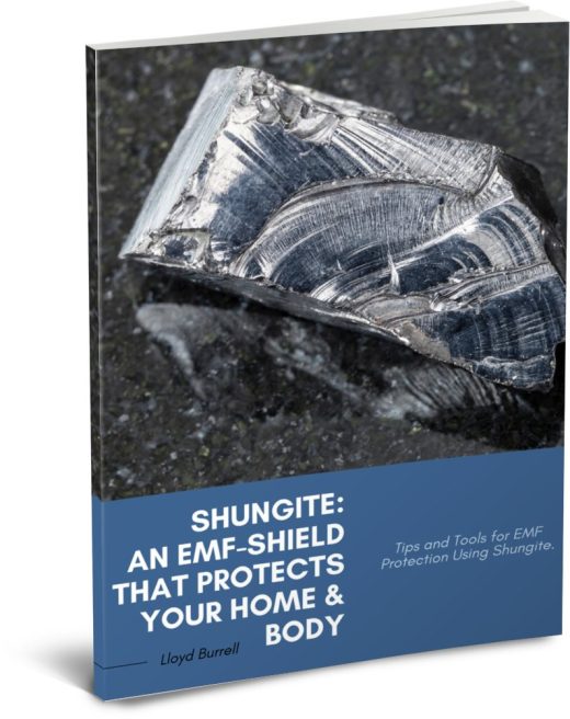 shungite-the-